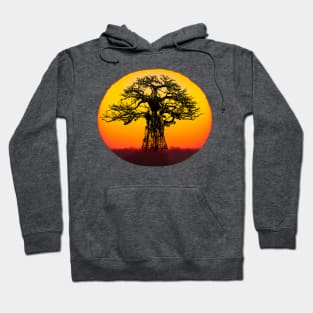 Baobab Tree at Sunset for Africa Fans Hoodie